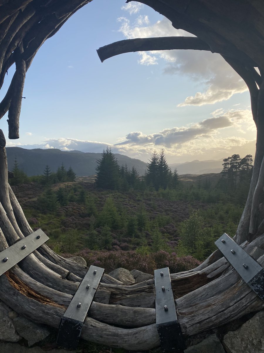 weegiewheelercc's tweet photo. #badgerdivide https://t.co/YDKhKaa3LX