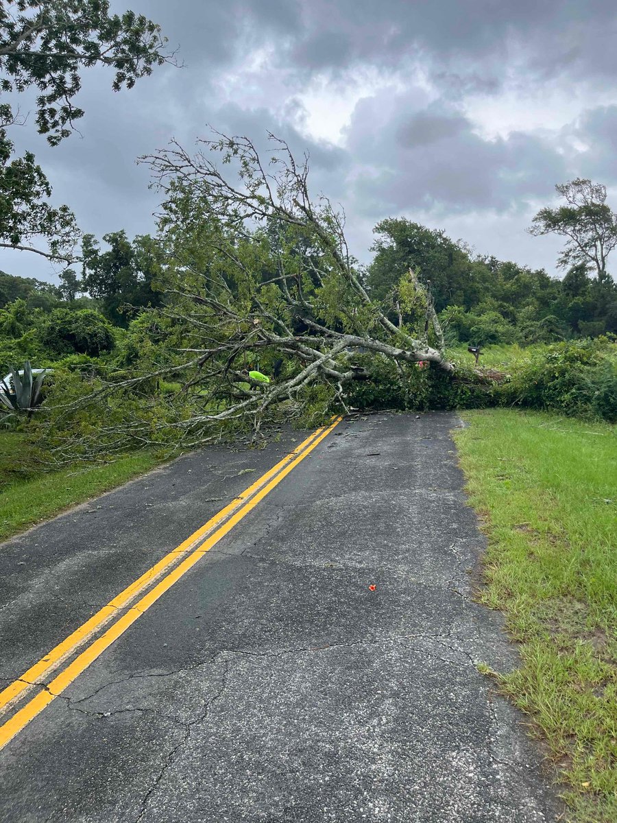 STJFD's tweet image. Tree down - Roseville Rd on Wadmalaw Island. Crews clearing.
