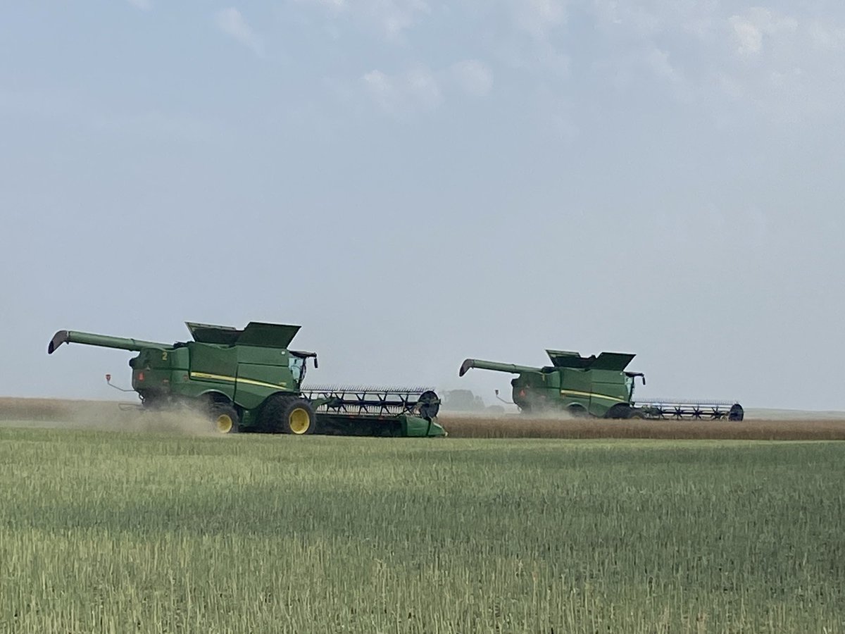 Travis Wiens tweet media