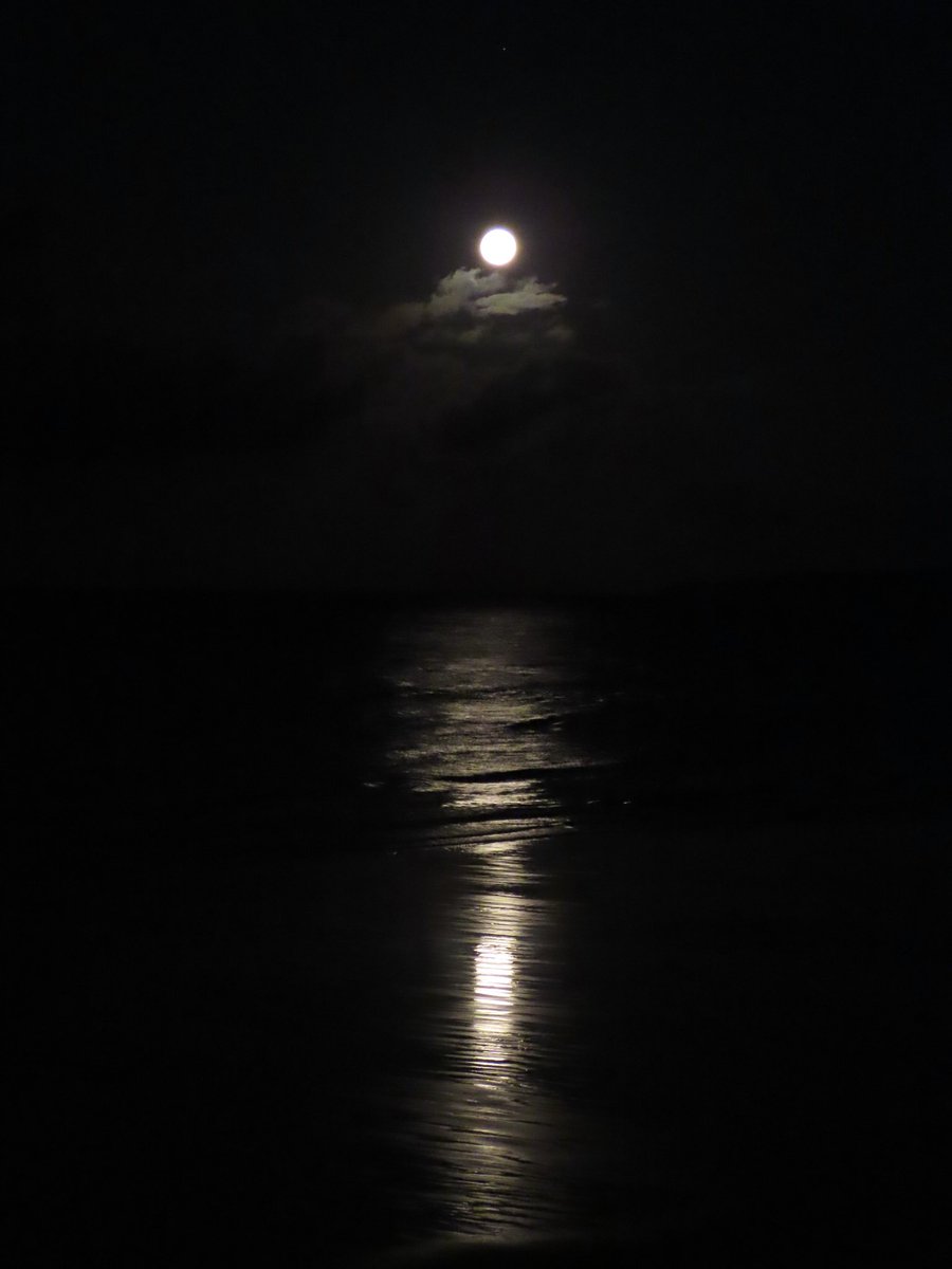 RoseButton1958's tweet image. #SuperBlueMoon #Scarborough #OnceInABlueMoon 
@SpaOrchestra @ScarboroughWeb @KeeleyDonovan @carolkirkwood @bbcweather @BBCBreakfast