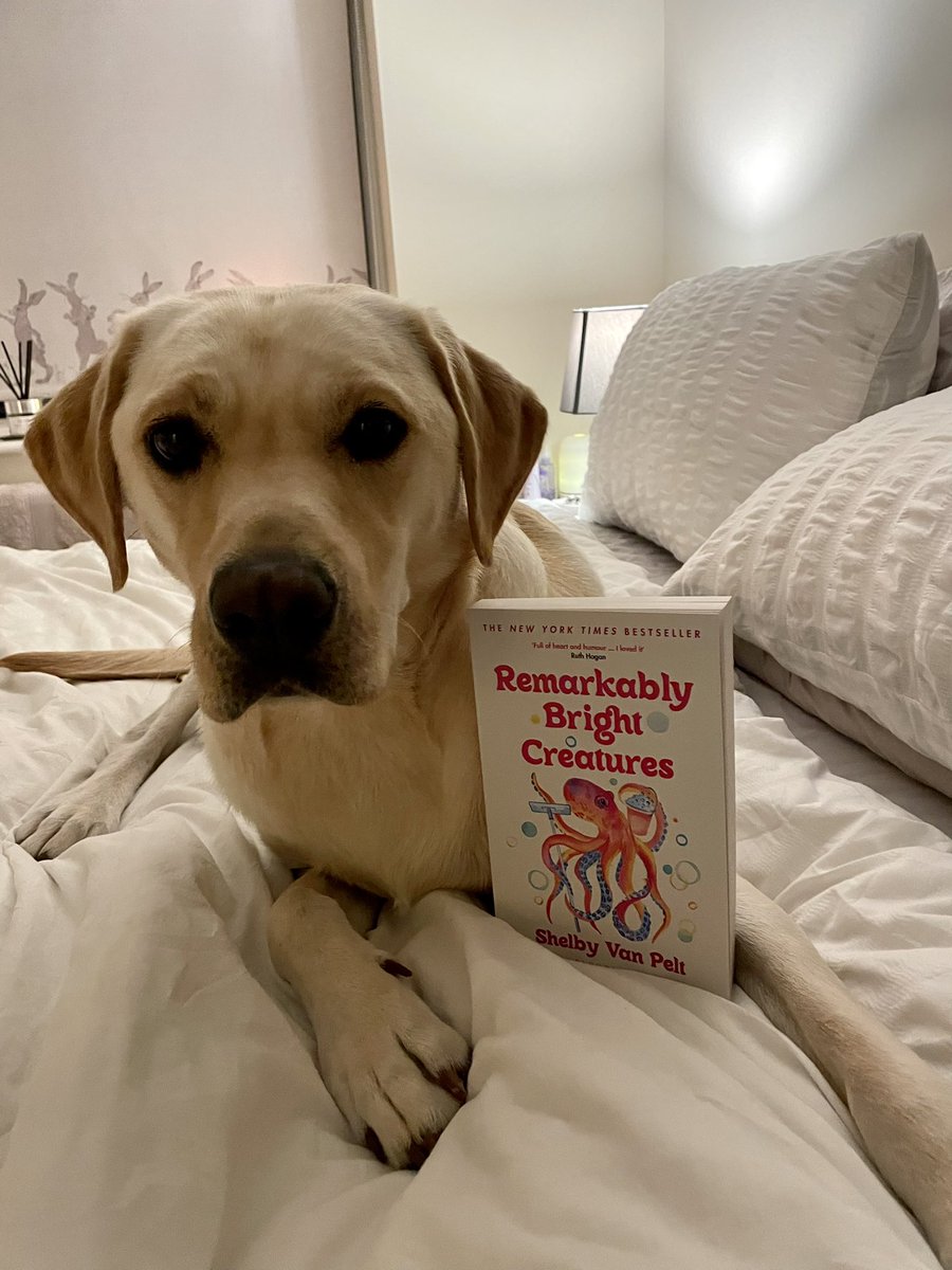 Chilling with my Remarkably Bright Creature 🩷🤍 <a href="/shelbyvanpelt/">Shelby Van Pelt</a> #book #booklover #booktwitter