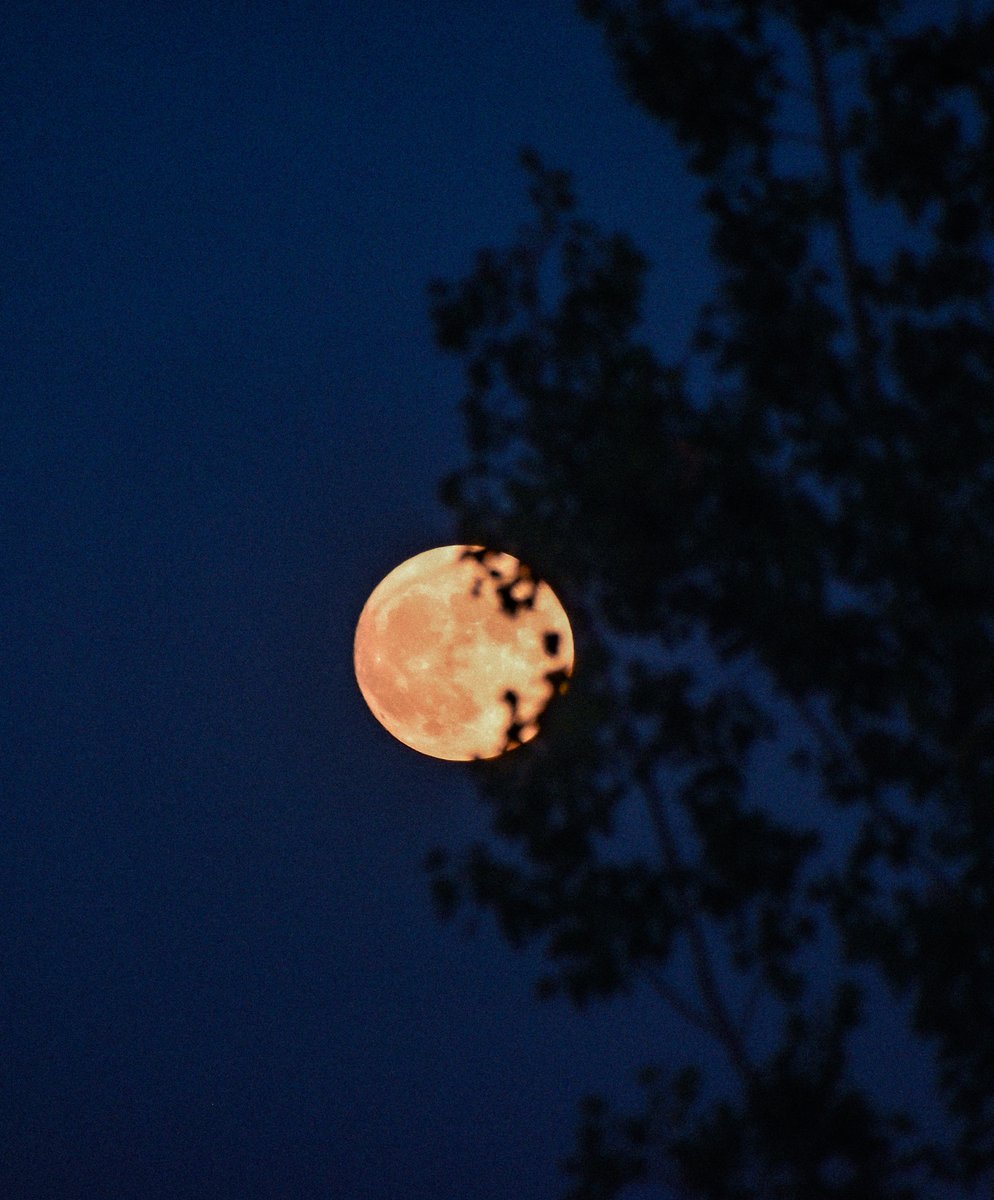 iammirauqib's tweet photo. Super Blue Moon – 2023
#BlueMoon #supermoon #fullmoon https://t.co/6Z97CfXQEM