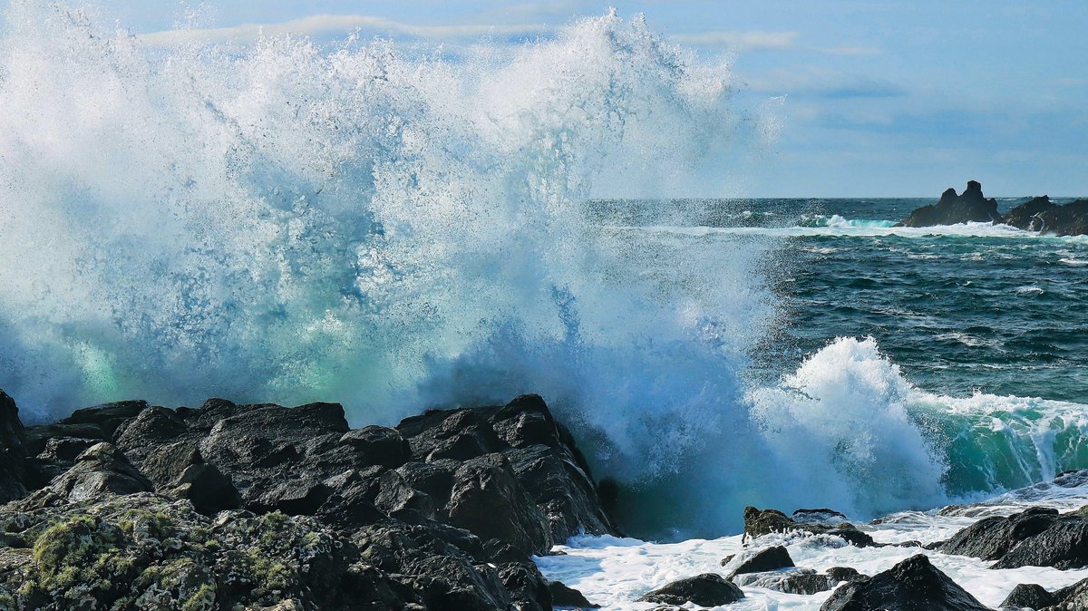 bunothanboy's tweet image. A6. It has to be Islay for nature.
#ScotlandHour
#Nature