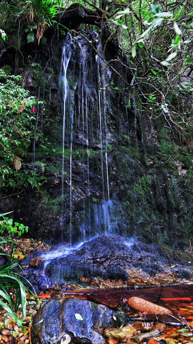 bunothanboy's tweet image. A6. It has to be Islay for nature.
#ScotlandHour
#Nature