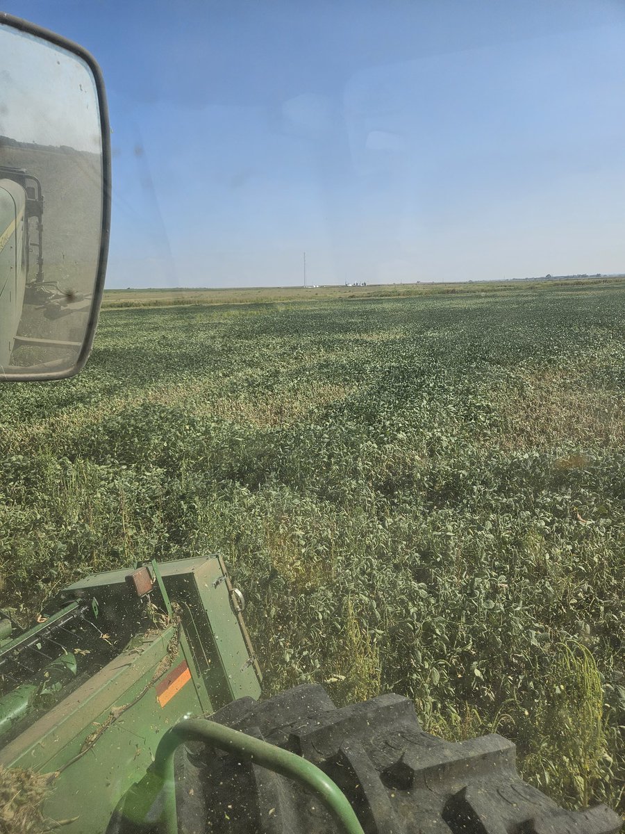 70Wolff's tweet photo. Soybeans are going down..
#heatwave2023
#AgTwitter https://t.co/QnTfzQWTUL