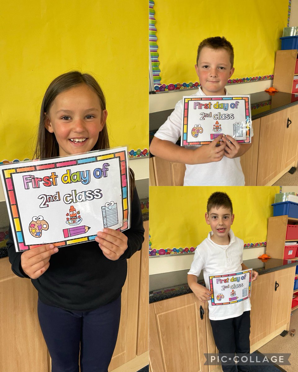 Scoil Lua Naofa- Lorrha National School tweet media