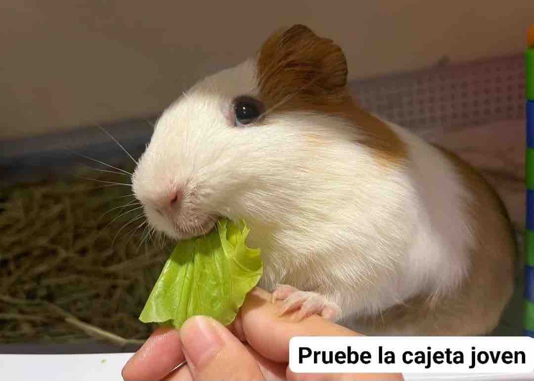 “Nunca aceptes comida ni nada de extraños”

— Yo: