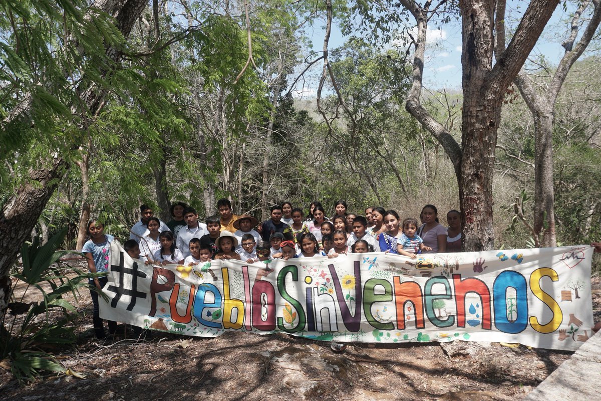 Deforestación imparable en Hopelchén. La falta de actuación de PROFEPA que ordene sanciones y medidas correctivas tendientes a la restauración de predios desmontados, conlleva a que se sigan desmontando más predios sin que haya consecuencias.
<a href="/Colectivochen/">Colectivo CHEN</a>
<a href="/AlianzaMaya/">Alianza Maya por las Abejas Kabnáalo'on</a>
