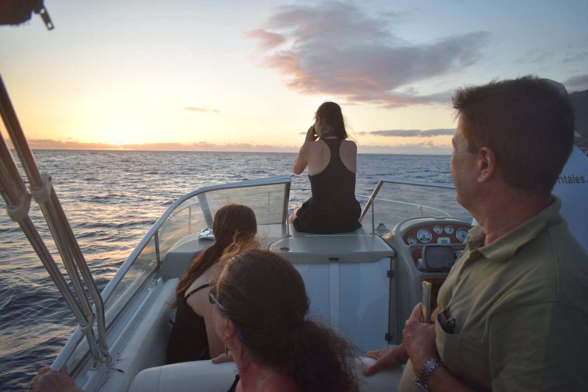 What a fantastic, lush green island <a href="/Madeira/">Ilha da Madeira</a> is! Well worth a visit - take a sunset boat cruise.