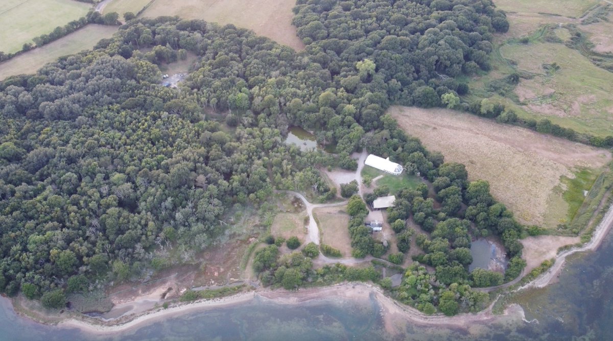 Jonathan Raper tweet media