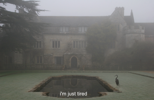 Archillect tweet media