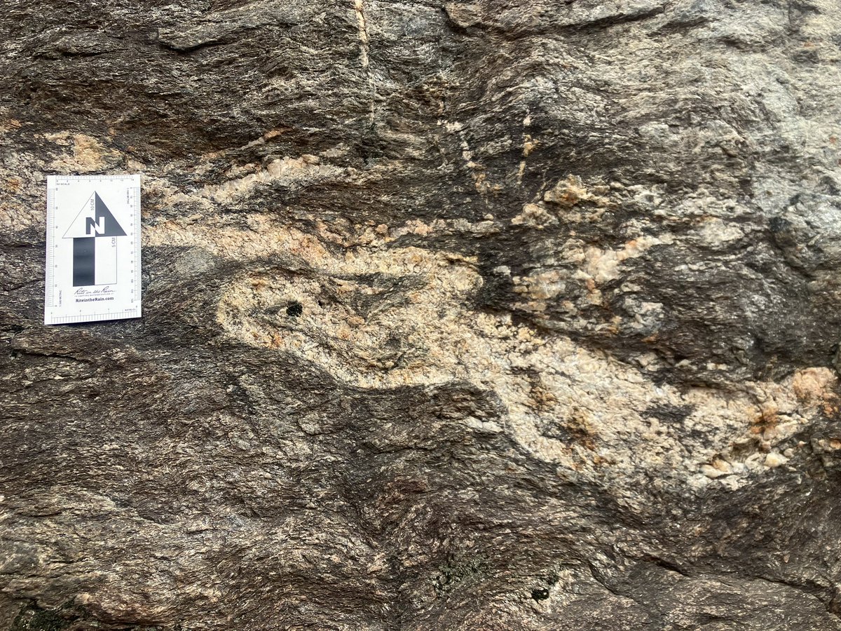 kirstenology's tweet image. Venturing into the #blueschist/#ecologist facies. We learned about #jadeite and #phengite, after we first mistook them for clinopyroxene and muscovite! Rookie mistake to assume. Such fascinating new #minerals in the #ItalianAlps!
@DurUniEarthSci