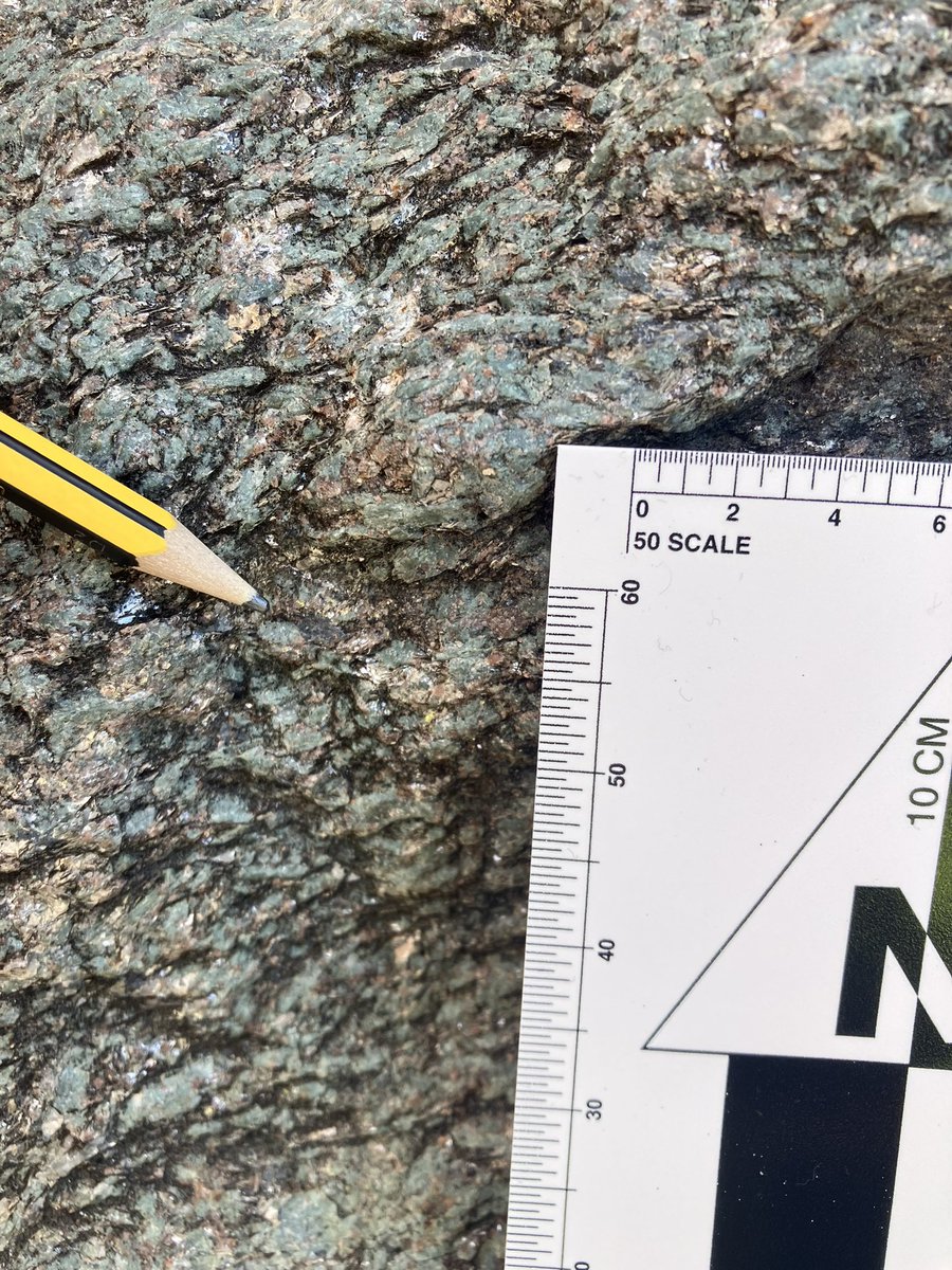 kirstenology's tweet image. Venturing into the #blueschist/#ecologist facies. We learned about #jadeite and #phengite, after we first mistook them for clinopyroxene and muscovite! Rookie mistake to assume. Such fascinating new #minerals in the #ItalianAlps!
@DurUniEarthSci