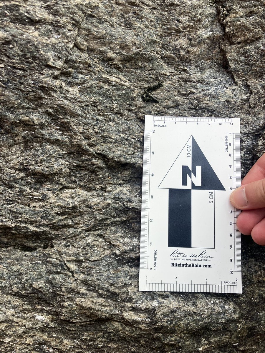 kirstenology's tweet image. Venturing into the #blueschist/#ecologist facies. We learned about #jadeite and #phengite, after we first mistook them for clinopyroxene and muscovite! Rookie mistake to assume. Such fascinating new #minerals in the #ItalianAlps!
@DurUniEarthSci