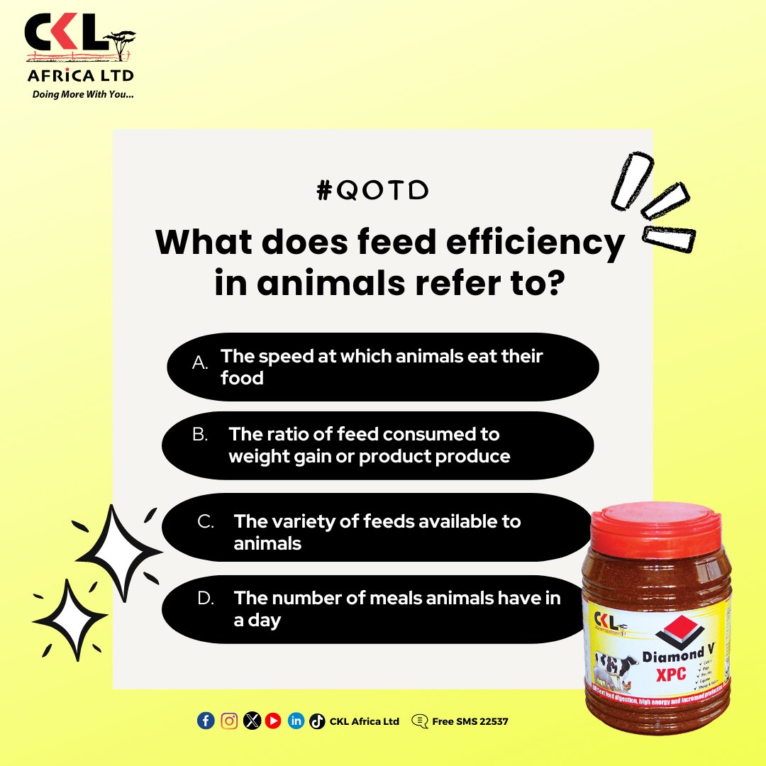 CKLAfricaltd's tweet photo. We are back! Question Of The Day. The FIRST person to give the correct answer wins a Diamond V XPC gift hamper. T&amp;C apply. #DiamondVXPC #feedefficiency https://t.co/ElRnX4qxzr