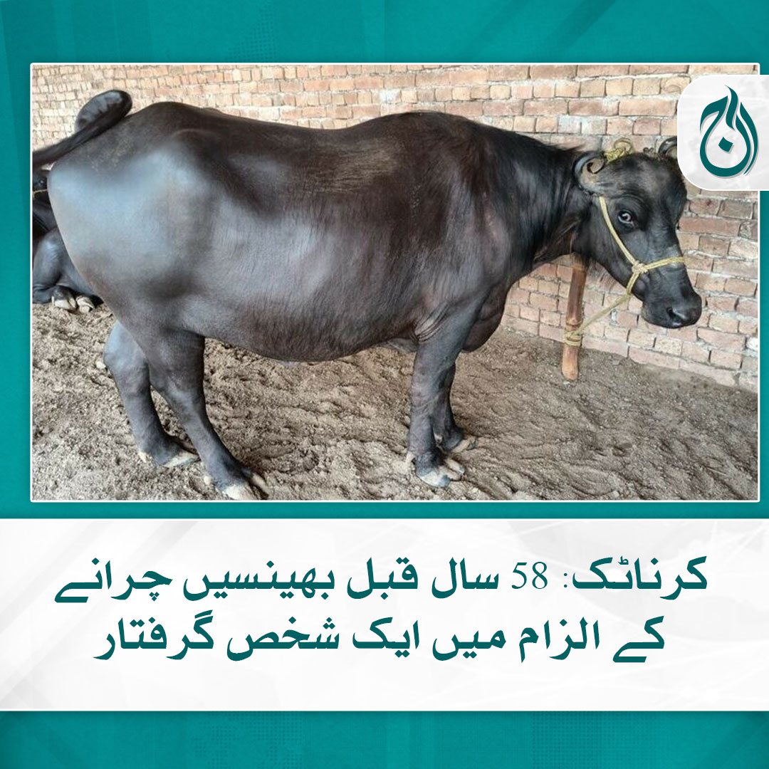 Aaj_Urdu's tweet photo. بھارت کی جنوبی ریاست کرناٹک میں پولیس نے ایک 78 سالہ شخص کو گرفتار کرلیا

تفصیلات: https://t.co/iVTixSHgDS

#KarnatakaNews #India #CaseReopen #AajNews https://t.co/0e60EE2fN7