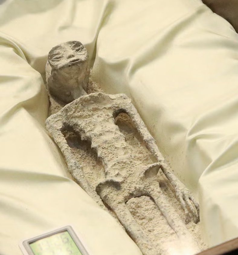 Javier ( 哈比 | خبيار ) tweet media