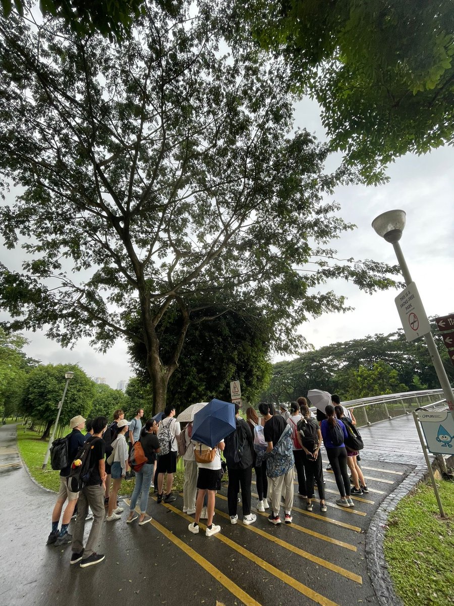 Maxine Mowe (@maxinemowe) on Twitter photo Teaching in the rain āļø always enjoy bringing students to the field! This was last week on a rainy Saturday morning #bl5311 <a href="/MBCNCS/">NUS MBCNCS</a> Teaching in the rain āļø always enjoy bringing students to the field! This was last week on a rainy Saturday morning #bl5311 <a href="/MBCNCS/">NUS MBCNCS</a>