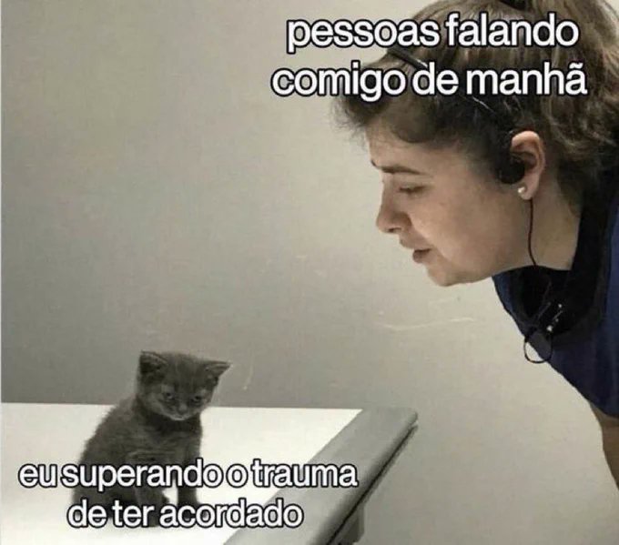 shitpostverdade's tweet photo. https://t.co/rKGWqFuI1B