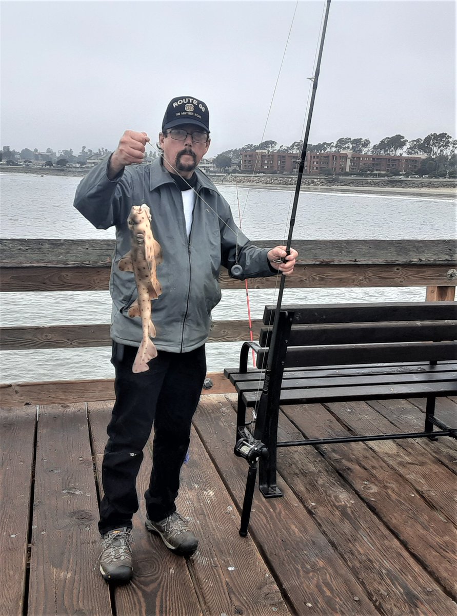 John Darling - Author - #Sci-fi #Mystery #Romance tweet media