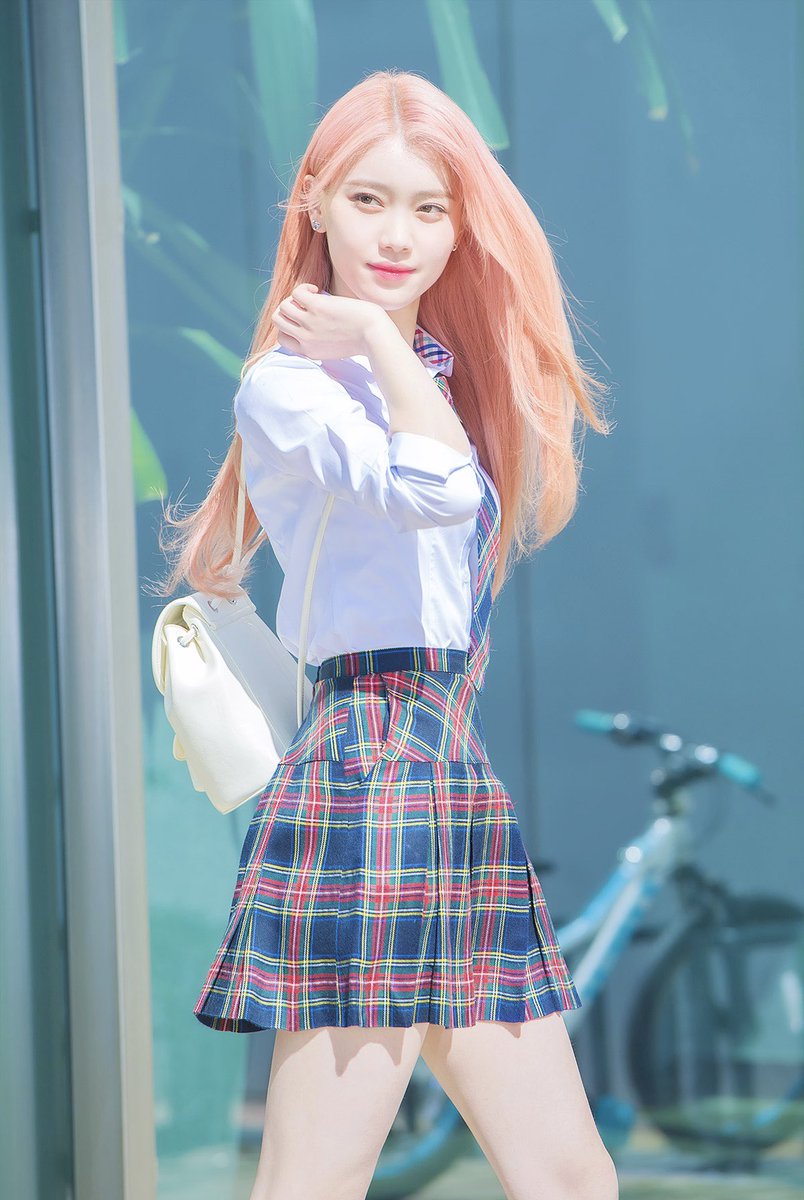 コバンザメば〜ぼん‼️ tweet media