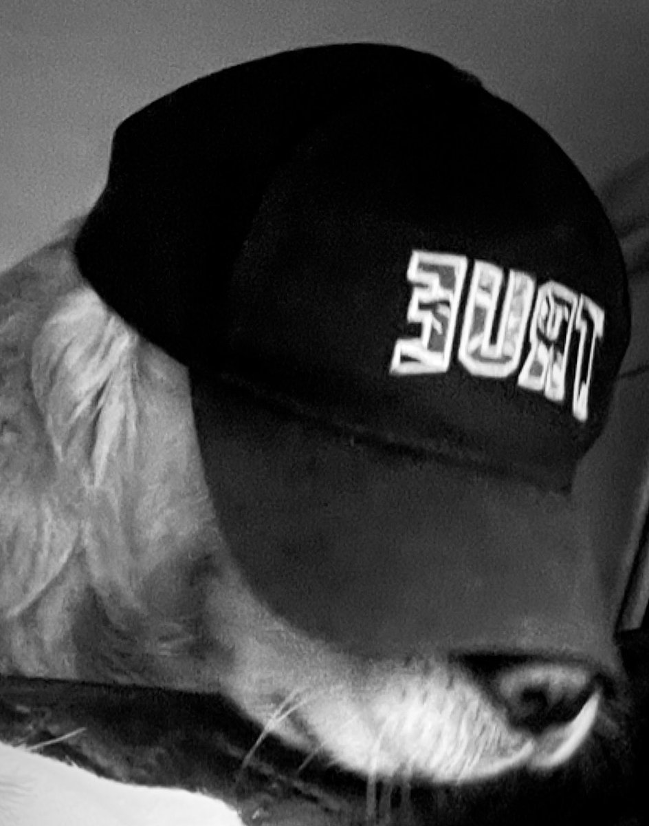 Ross 🌍🕊 tweet media