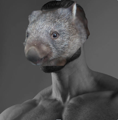 WombatCoinErc's tweet photo. Average $Wombat holder https://t.co/gd0YKUN59T