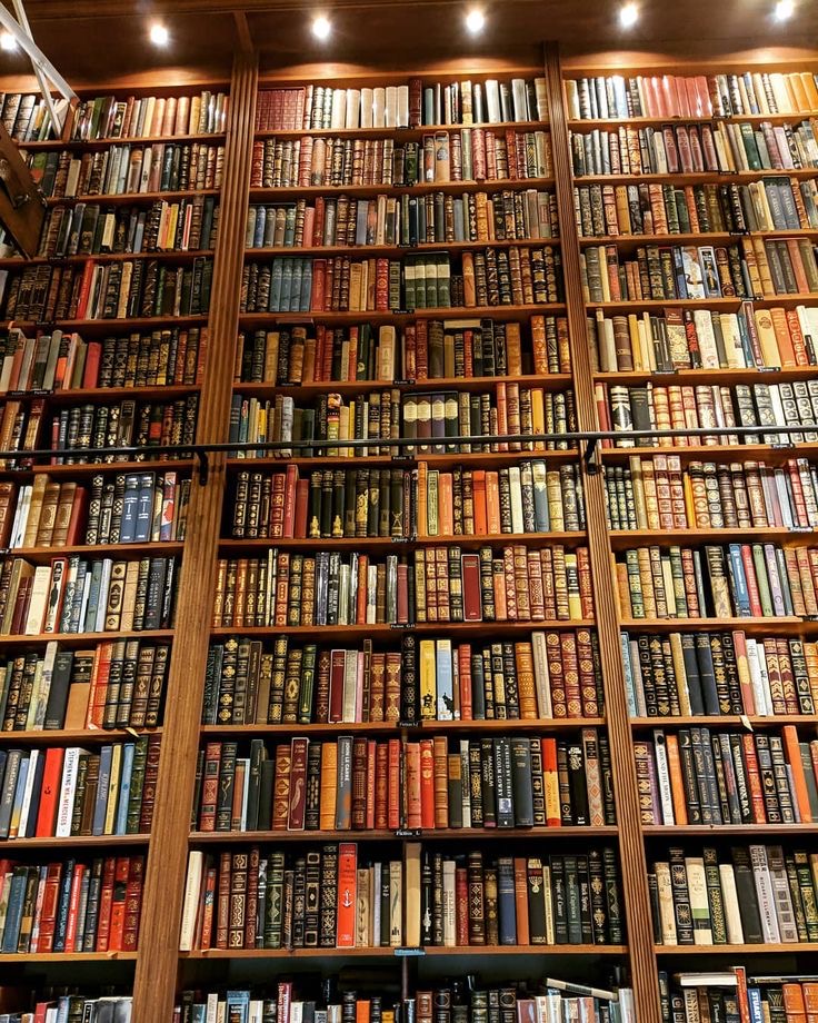 Do you dream about owning more books? Come shopping at Rebecca Lange Books and add to your collection. #indiebookstore #indiebooks #bookbuying #bookshops #needmore #rebeccalangebooks (Photo from Pinterest)