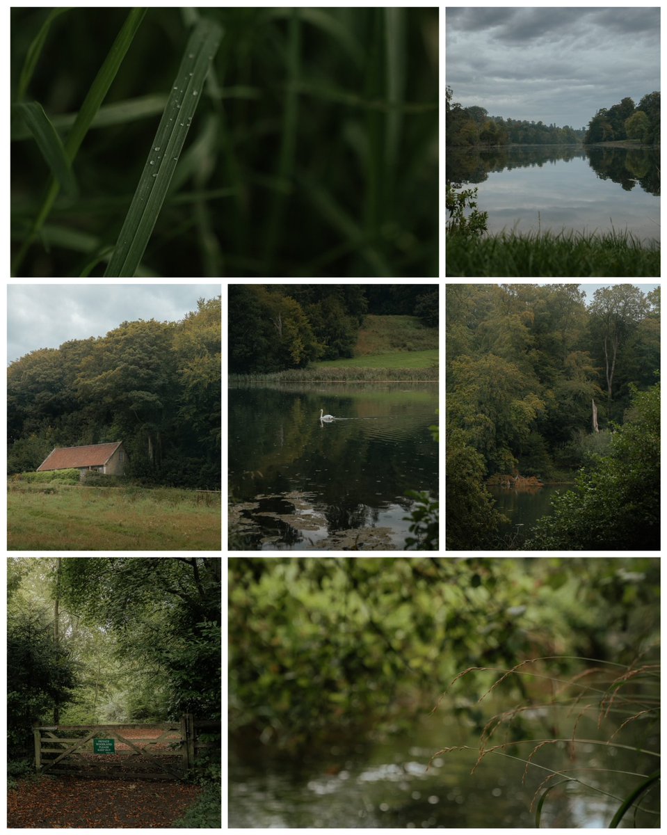 Nothing but green in the frame. Share your green shots 👇🏼