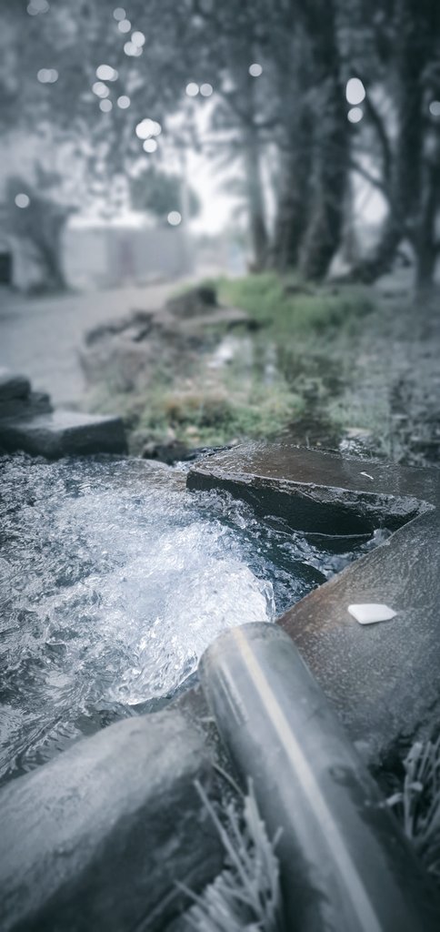 𝓲𝓽'𝓼 𝓶𝓮 (@al_afindi) on Twitter photo 