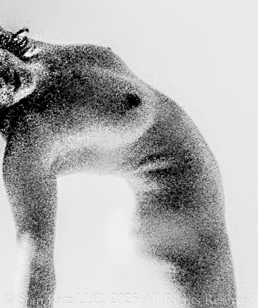 onefotoperday.wordpress.com
One Picture a Day…Day 3651 Nude
September 14, 2023
Most of the image here are for sale; contact me