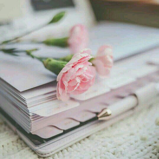 سعود الحربي tweet media