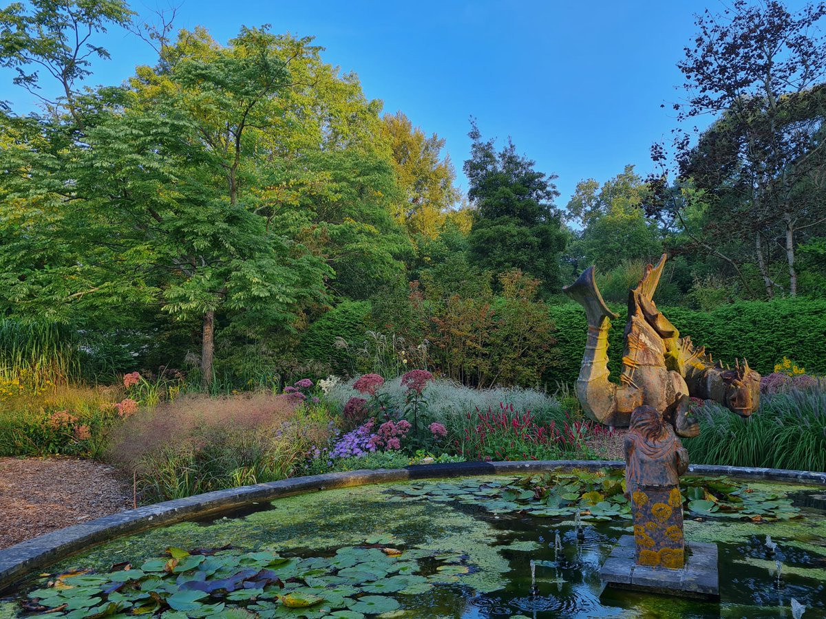 Early morning shot of the dragon garden. Feeling very autumnal this morning...but rather beautiful