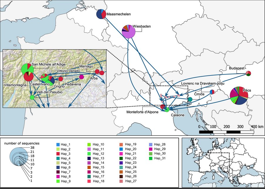 #Aedes koreicus, a #vector on the rise: Pan-European #GeneticPatterns, #mitochondrial and draft #GenomeSequencing
💡To understand #Aedeskoreicus' population relationships and dispersal patterns within Europe, genetic patterns of #mosquitoes were examined.👉hubs.li/Q020wCbw0