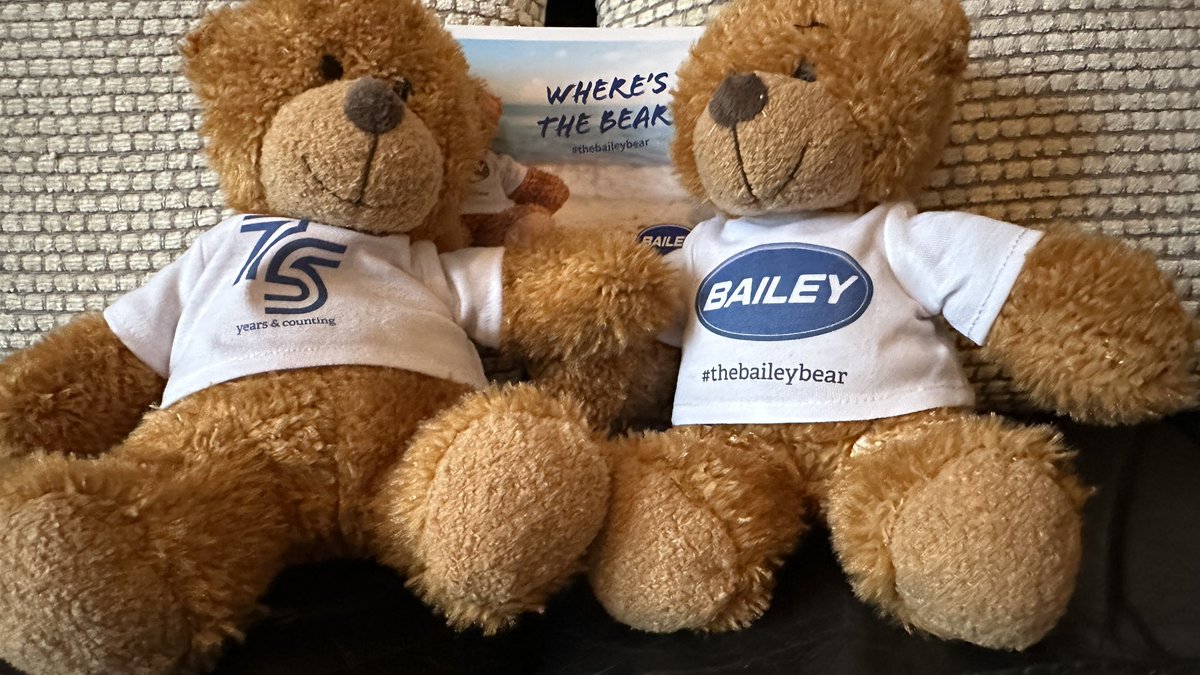 hey_tow's tweet photo. Bears! #thebaileybear @BaileyofBristol https://t.co/9N2quVdXSb