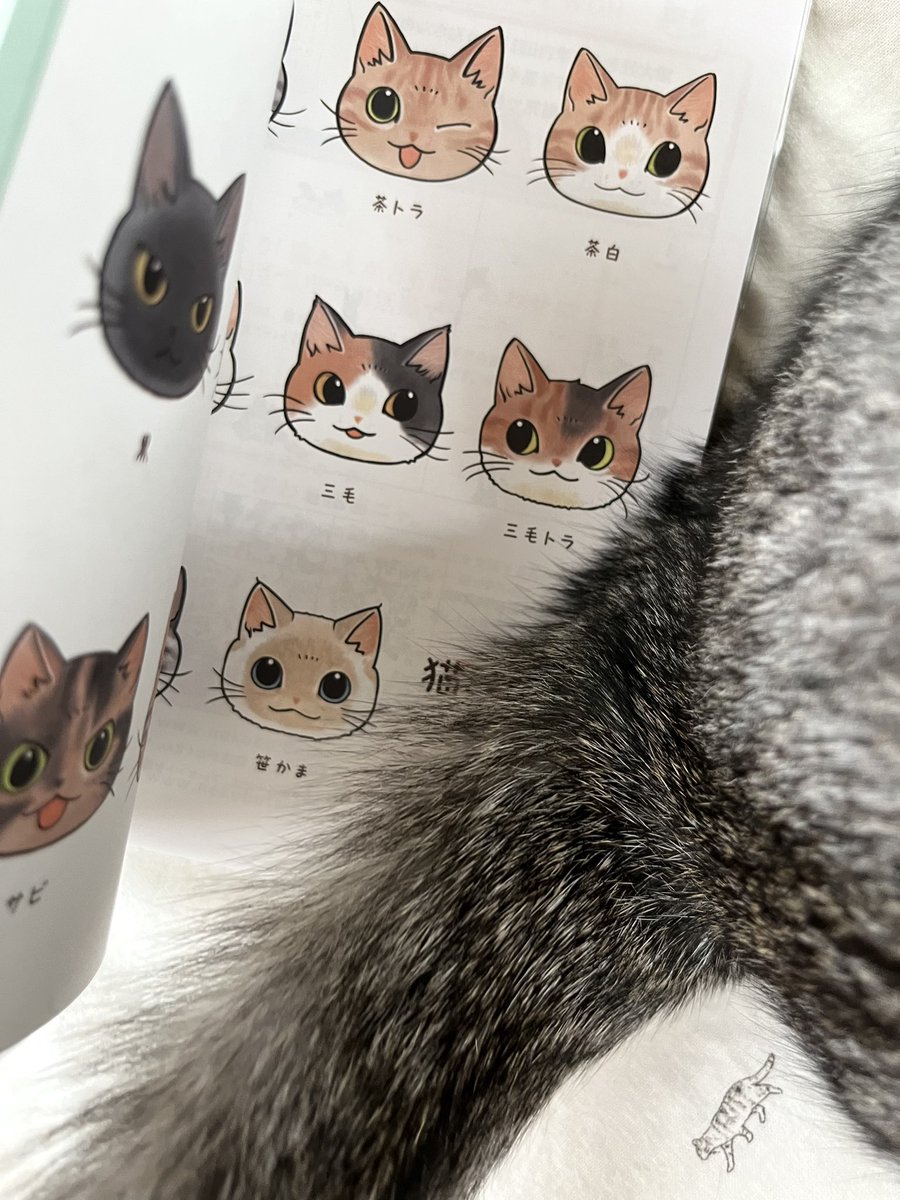 「自分で言うのもナンですが、可愛い猫まみれ手帳2024を どうぞよろしくお願いいた」|山野りんりん🐈🍦🍚猫や漫画描く人。のイラスト