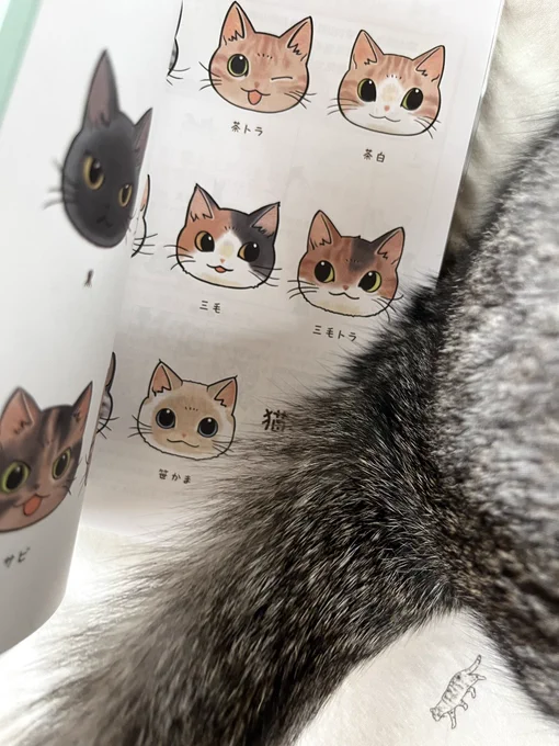 自分で言うのもナンですが、可愛い猫まみれ手帳2024を どうぞよろしくお願いいたしますっ