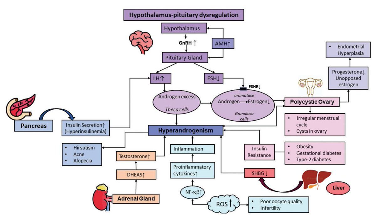 TD_ASP's tweet photo. 🔥#InterestingPaper An overview of the risk, underlying factors, and mechanism of #cancer progression in #polycystic ovary syndrome
👥By Md. Ibrahim Khalil et al.

Read it here #OpenAccess: https://t.co/jVQ4QN9tkc

#Tumor #TD #AccScience https://t.co/C98EqR5DZv