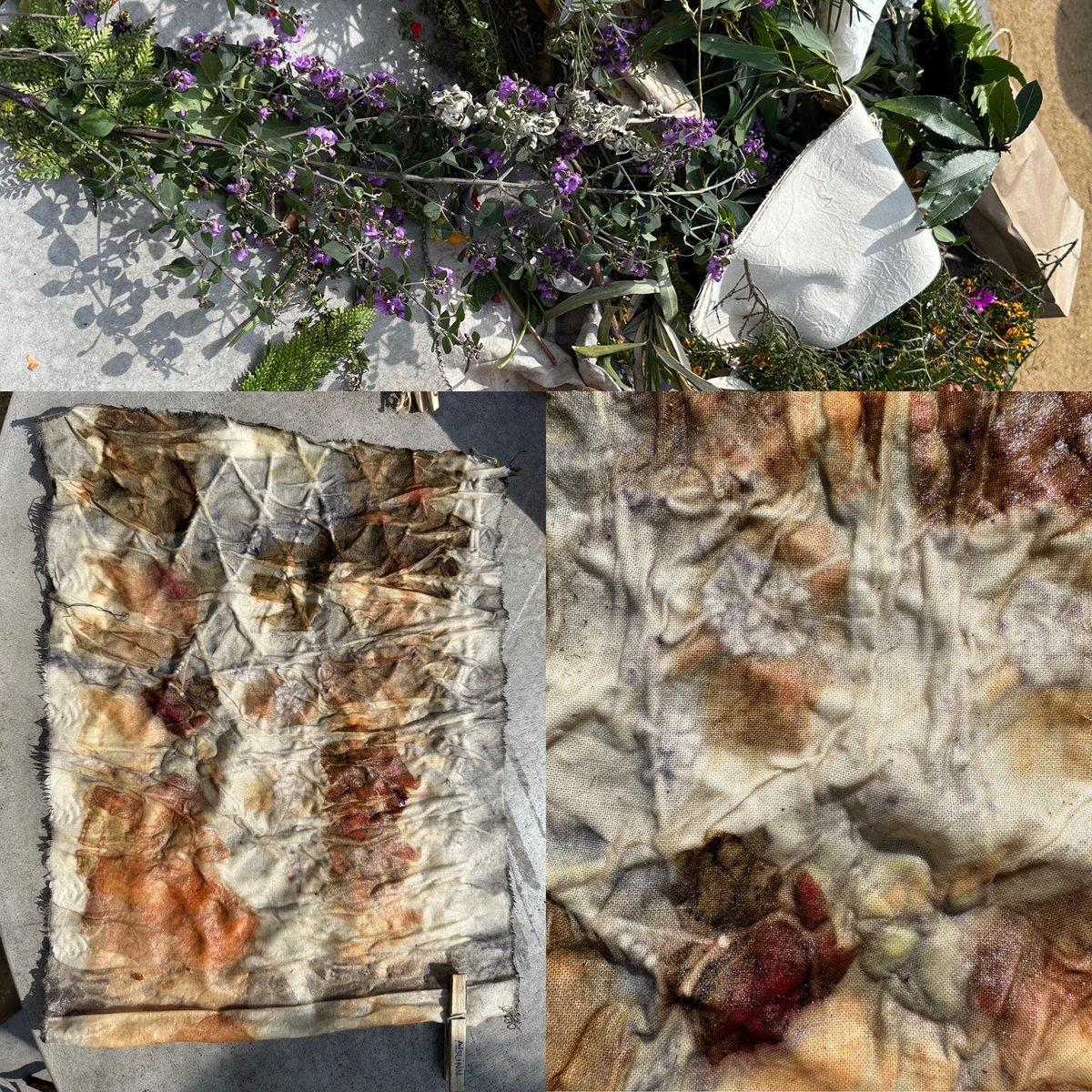 AislinnLalor's tweet image. Wonderful to be part of the research team “We Are Well” &amp;amp; partake in #intergenerational eco-dying with First Nations artists, seniors from #U3A, primary children, @Monash_OT &amp;amp; @MonashEducation students-Workshop 2 today  &amp;amp; 2 more to come! @RAILMonash @Keith_Hill_RAIL