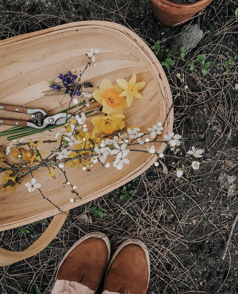 🌿🌼🧺 (@peacozy) on Twitter photo 