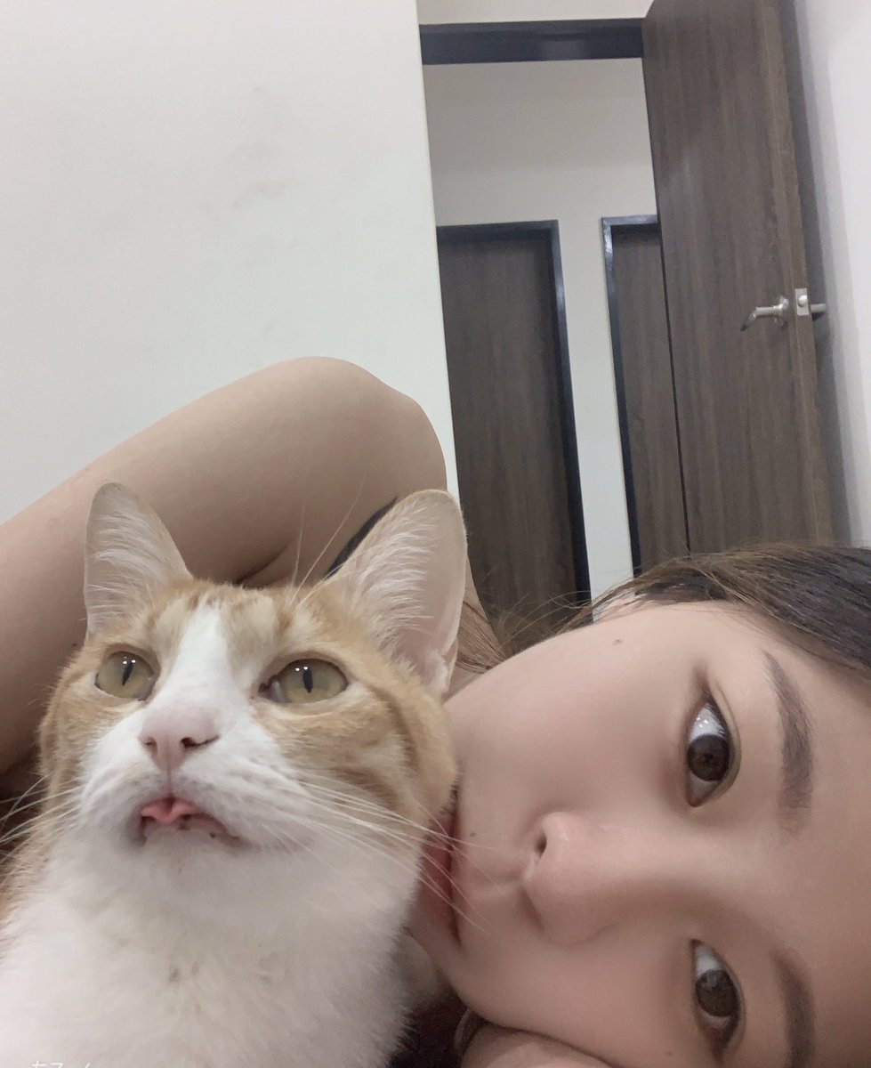 貓貓後空翻不稀奇 我家貓貓會捲舌😛