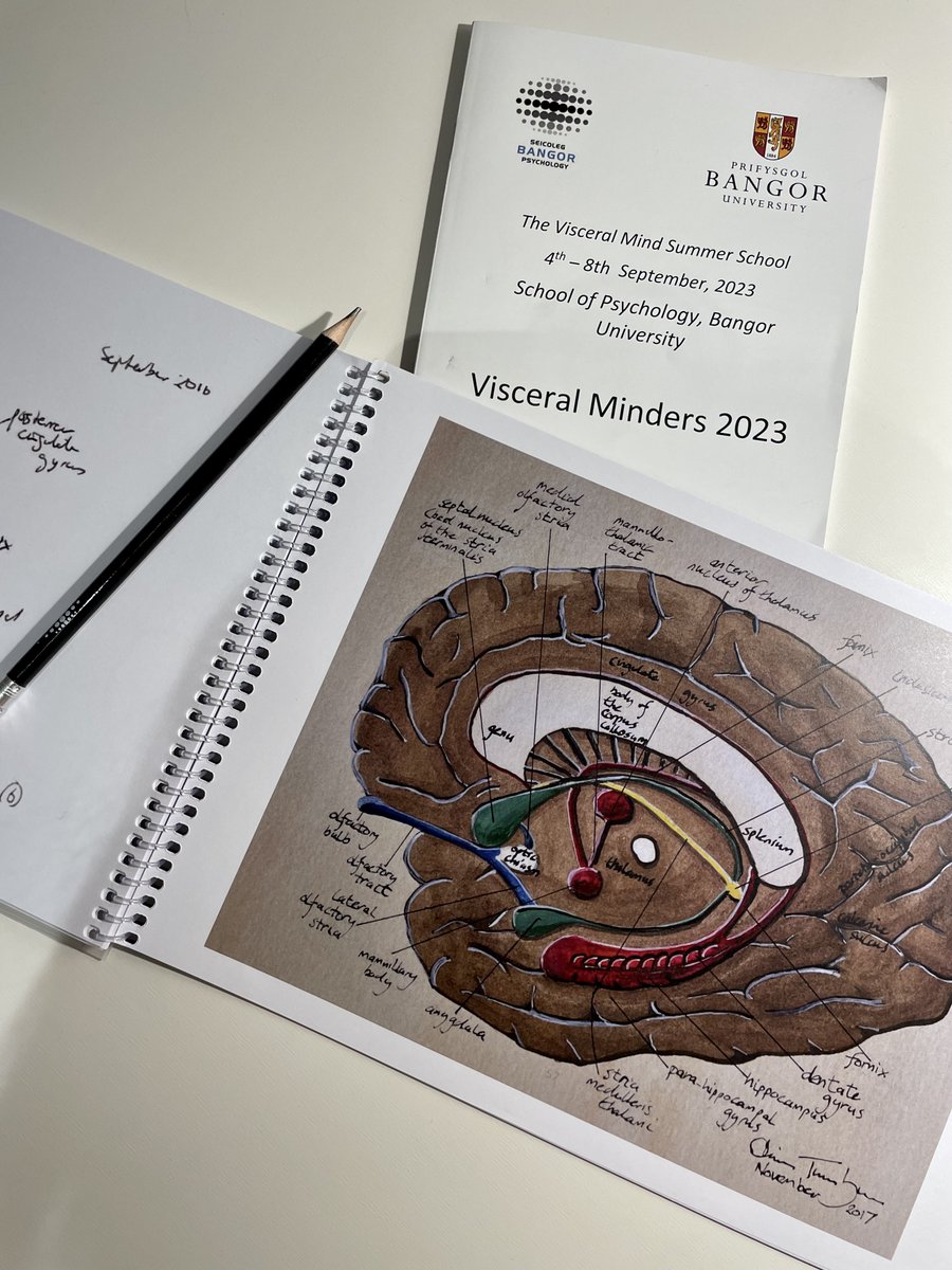 MonchyNoemie's tweet image. What a pleasure to take part in @VisceralMind1 ! A week full of drawings, human brain dissections and enriching talks.
Thank you all for this amazing experience and for sharing your expertise!