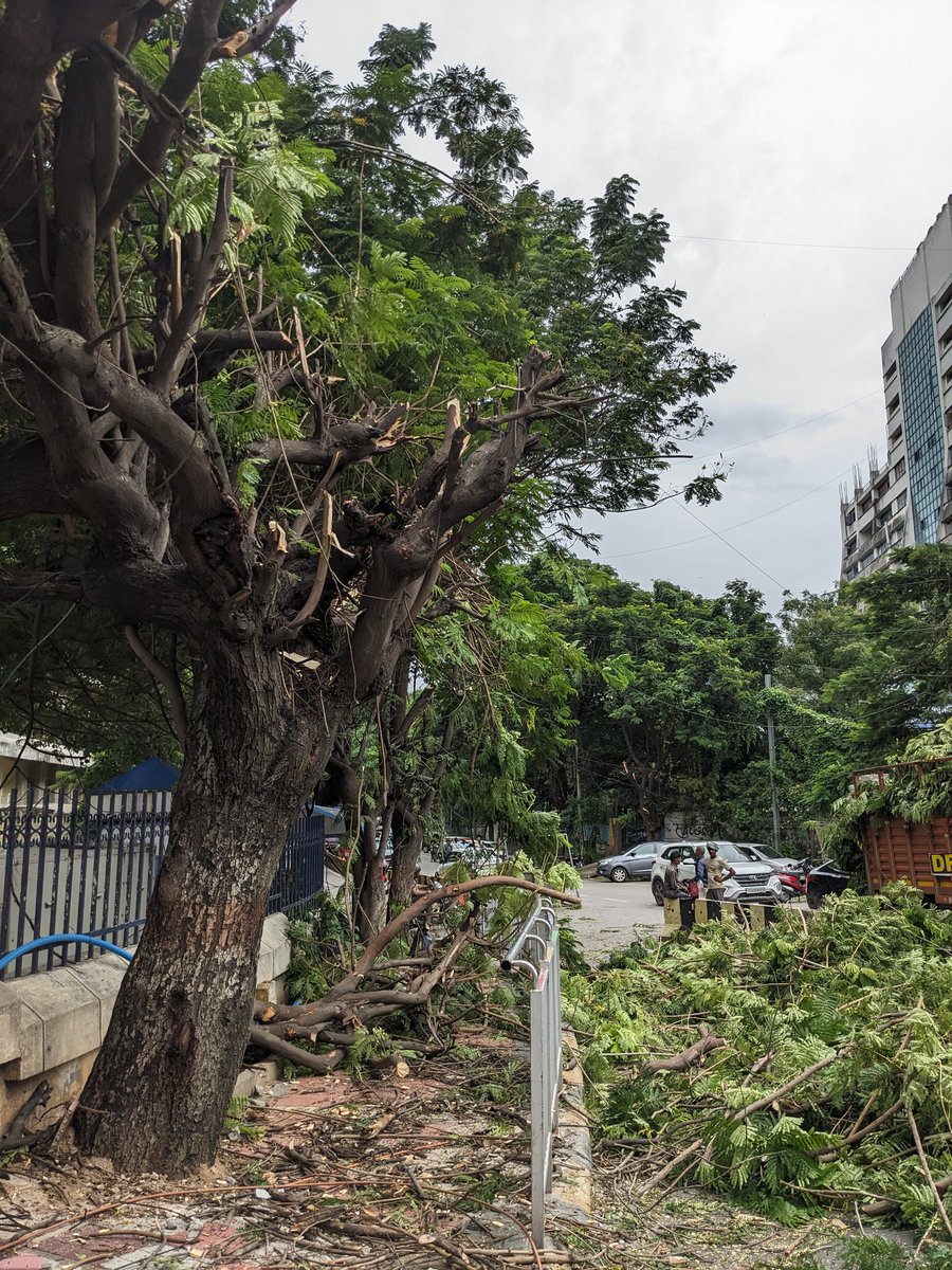 HarishKumarDaga's tweet image. It’s a Green Murder 🌲🪓

In Name of Ganesh immersion way, Non obstructing trees are chopped near old Secretariat

One said we do #HarithaHaram &amp;amp; other can't protect Tree

Any Comments @SantoshKumarBRS @KTRBRS ?

@krishna_ifs kindly stop non obstructing Trees from 🪓 every Year