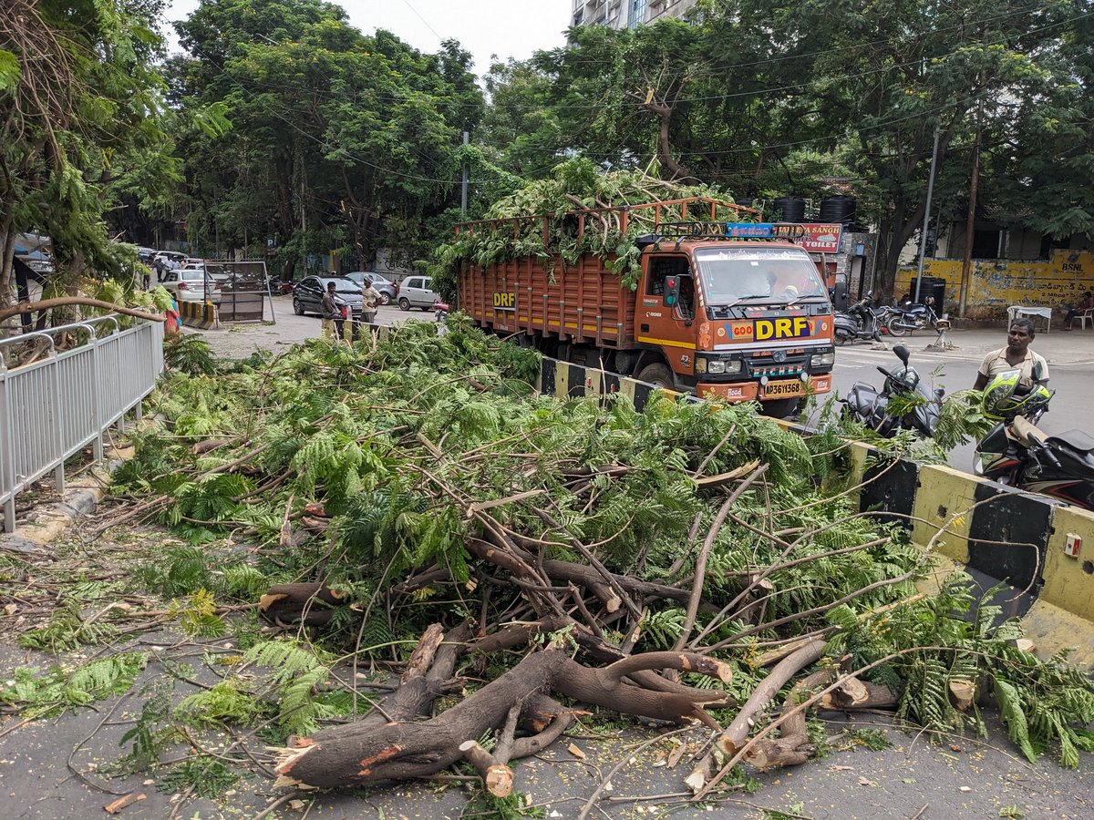 HarishKumarDaga's tweet image. It’s a Green Murder 🌲🪓

In Name of Ganesh immersion way, Non obstructing trees are chopped near old Secretariat

One said we do #HarithaHaram &amp;amp; other can't protect Tree

Any Comments @SantoshKumarBRS @KTRBRS ?

@krishna_ifs kindly stop non obstructing Trees from 🪓 every Year