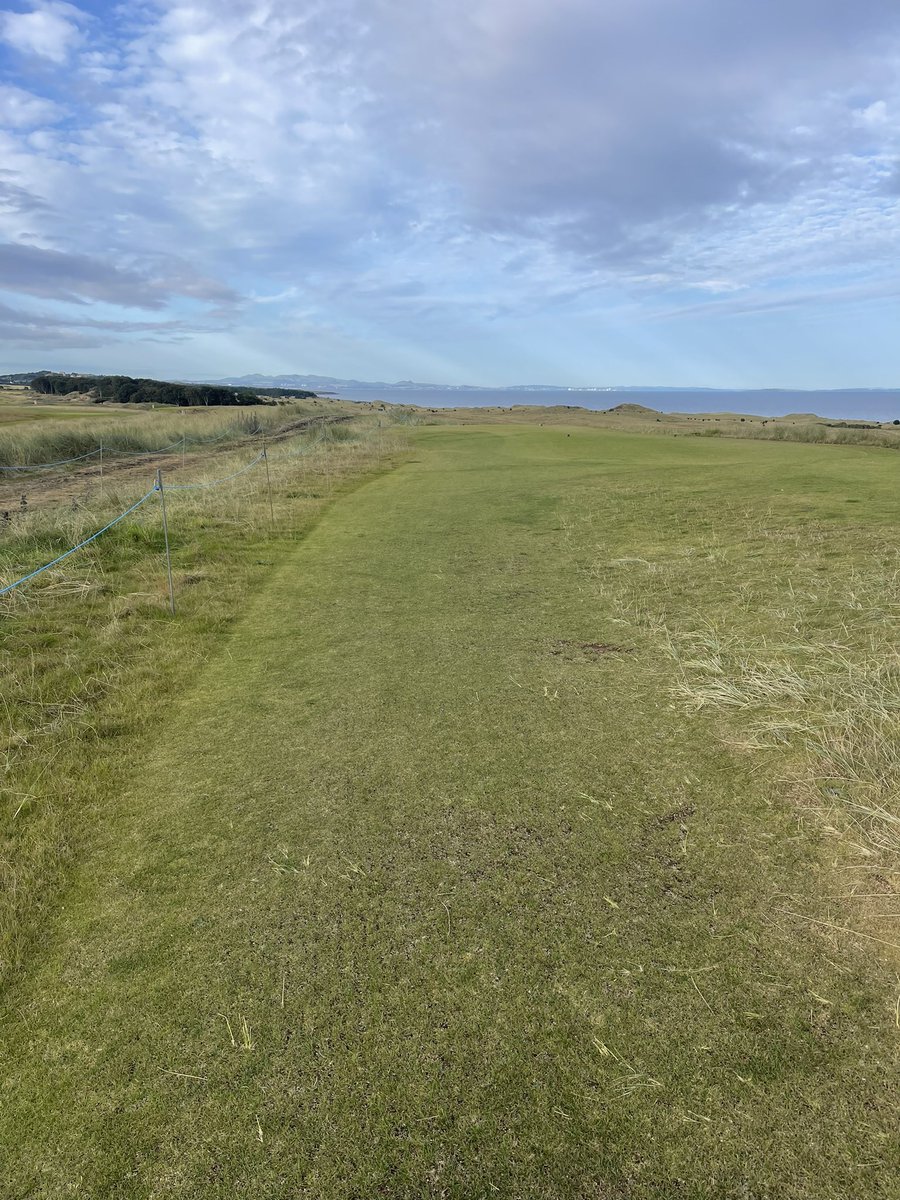 seanharkness1's tweet photo. Another quick recovery on a high wear area, aided by Quadrop! really does do the magic and help it soak up all that goodness👌🏽
4 days of a difference. Results speak for themselves. #quadrop @Quadropdosing @Aitkens_turf @terralift https://t.co/dRFo0jAt6m