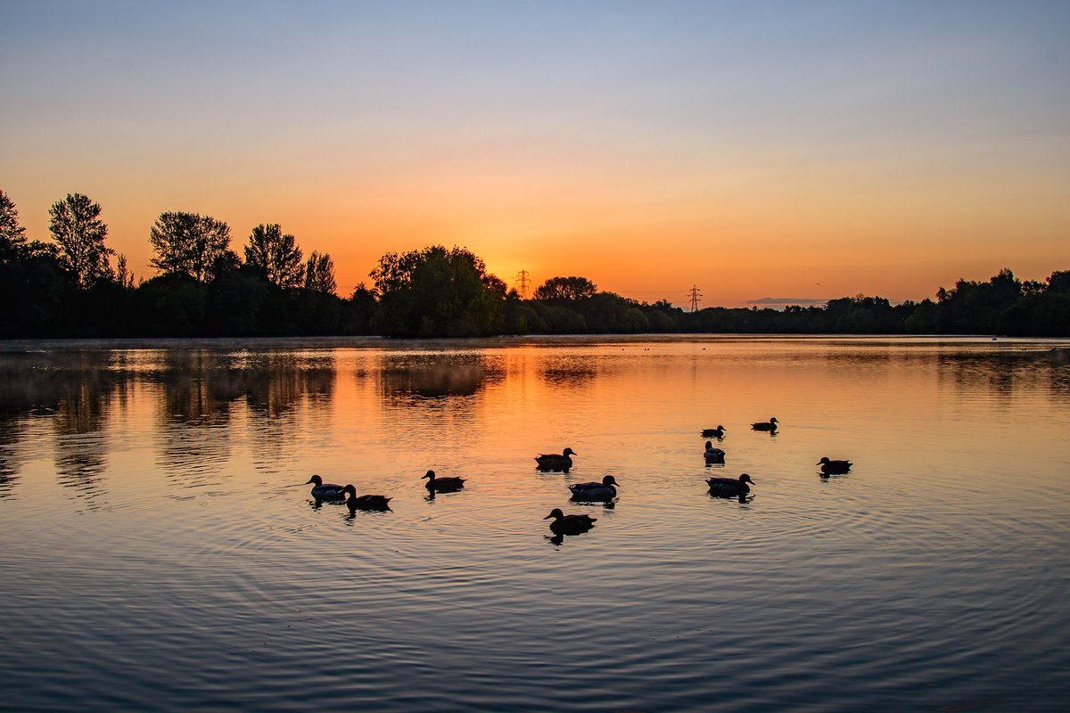 Thursday... #ironsie #thursday #thursdaymorning #sunrise #ducks #nikon @ChrisPage90 @ThePhotoHour @WeatherAisling