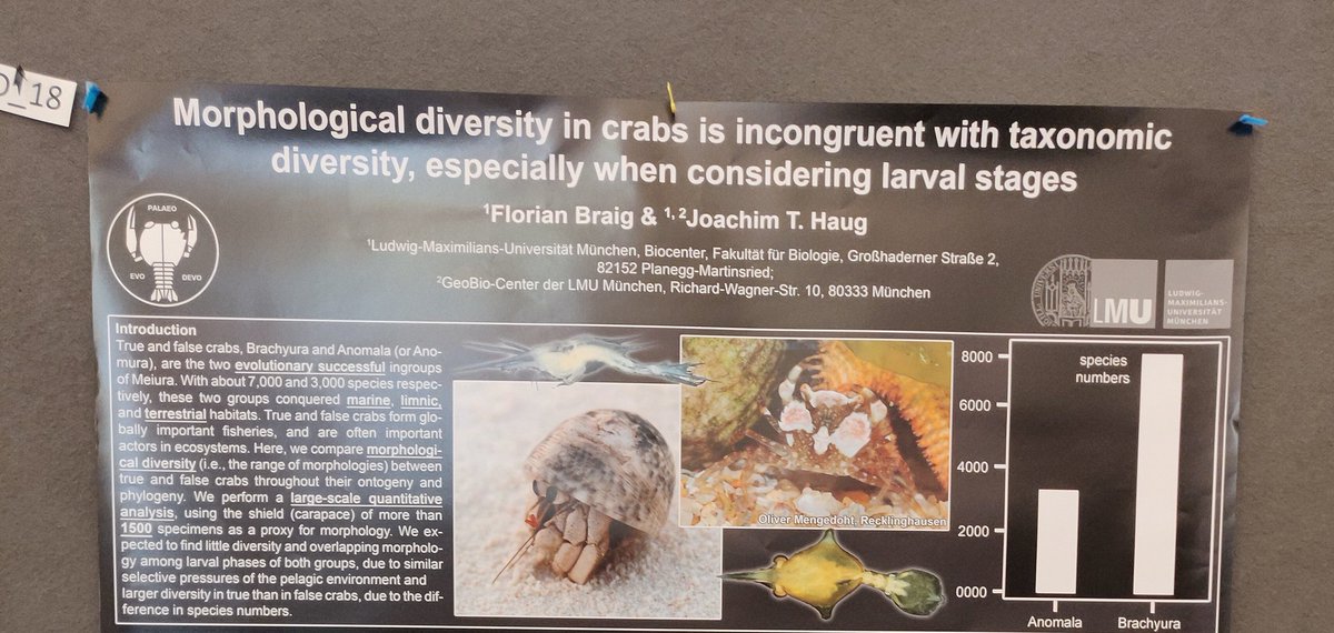 RianBraig's tweet photo. Poster is up, here is a spoiler! Looking forward to tonights session. If you're interested in measuring diversity in a different way, come by! 
#gfoe23
Also, there's crabs! https://t.co/NbRIkBYOOq