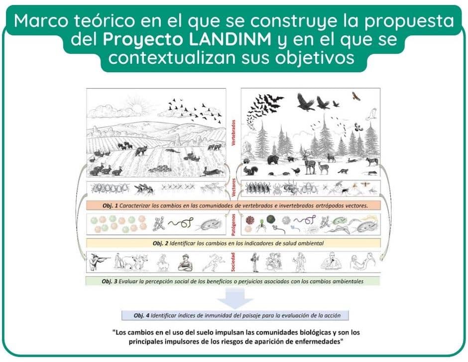 IREC_CSIC_UCLM's tweet photo. 🆕 El Proyecto #LANDINM es una propuesta innovadora, liderada por el Grupo SaBio del @IREC_CSIC_UCLM y el @GISAZ_Cordoba de la @Univcordoba y la @ENZOEM_UCO, que contribuirá a mejorar la salud de los ecosistemas a través de la #InmunidadDelPaisaje ✅👉 https://t.co/dbswM1ZfBP https://t.co/MTZ9lXpT98
