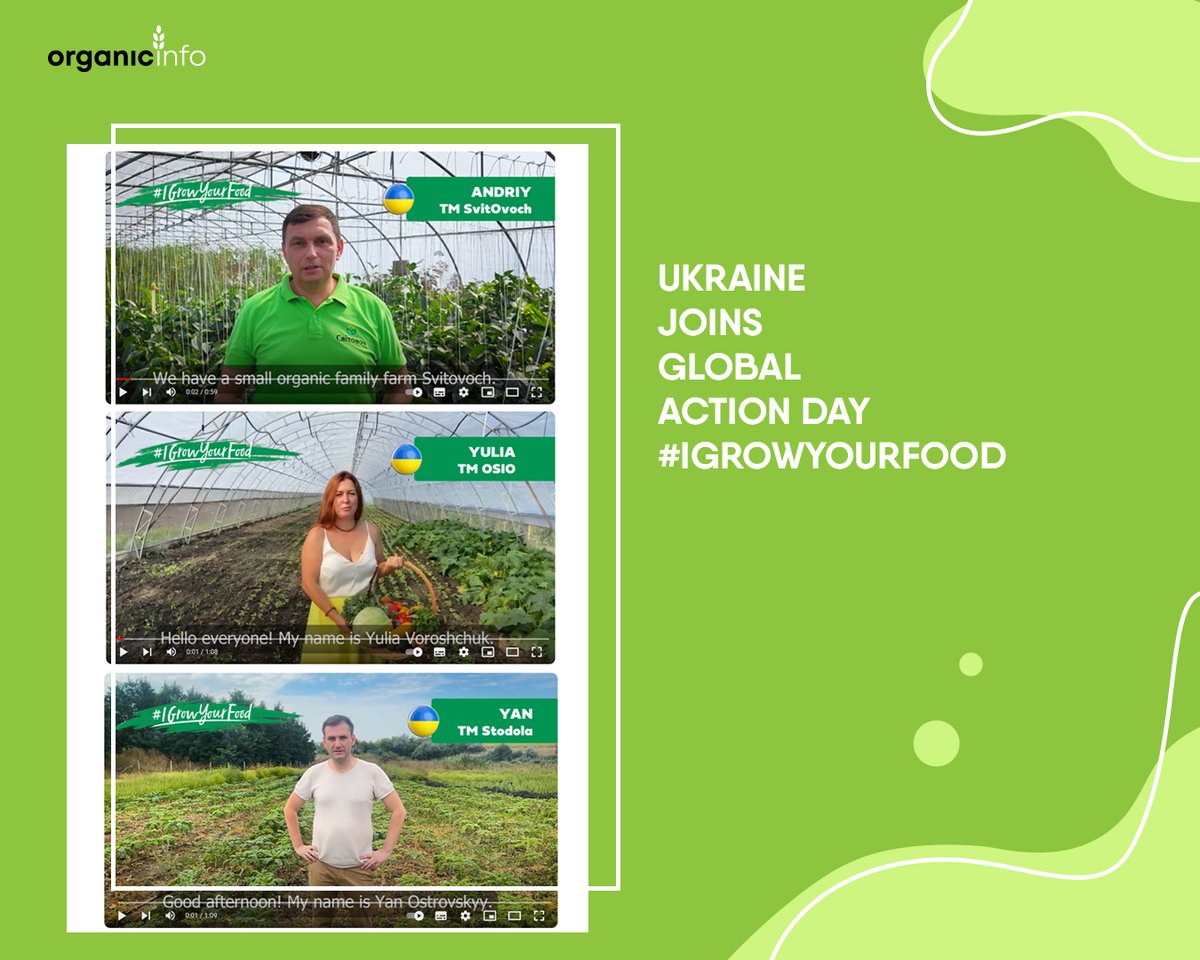 🥳 Today 🇺🇦Ukraine once again joins the global action day #IGrowYourFood
It was launched by @ifoamorganics  in 2019 aimed to draw attention to #organic producers around the world.
This year's stories of Ukrainian organic producers could be found 👉 youtube.com/@ifoamorganics…