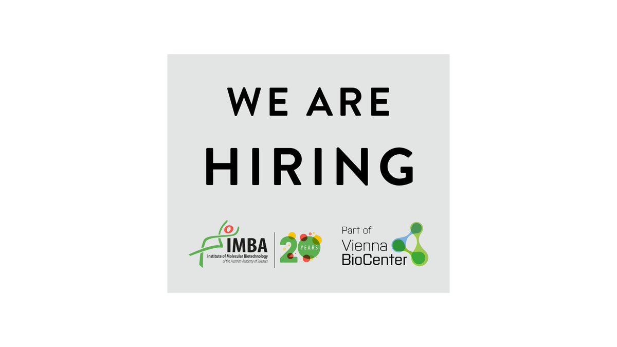 We are #hiring!!! The Jachowicz lab seeks a Master's student to help build a synthetic reporter system allowing high throughput validation of RNA function in mouse embryonic stem cells. Apply here. bit.ly/468dgIj @jwjach #biology #research #europe